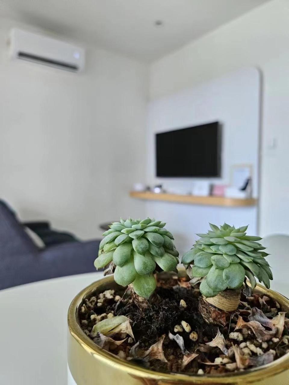 Cityview Studio Apartment At Kota Kinabalu City Centre Экстерьер фото